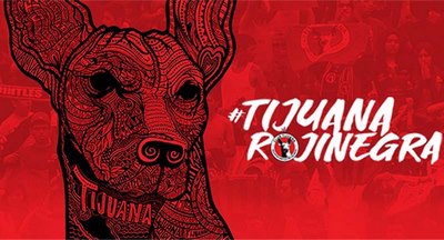 🔥 Download Tijuana Xolos Wallpaper Football by @spencercampbell | Xolos  Wallpapers, Xolos Wallpapers,